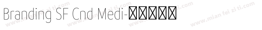 Branding SF Cnd Medi字体转换